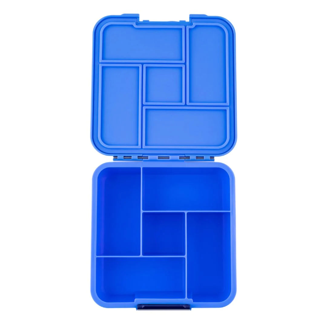 Bento Five - Little Lunch Box Co - Čučoriedka (ozdob si podľa seba)