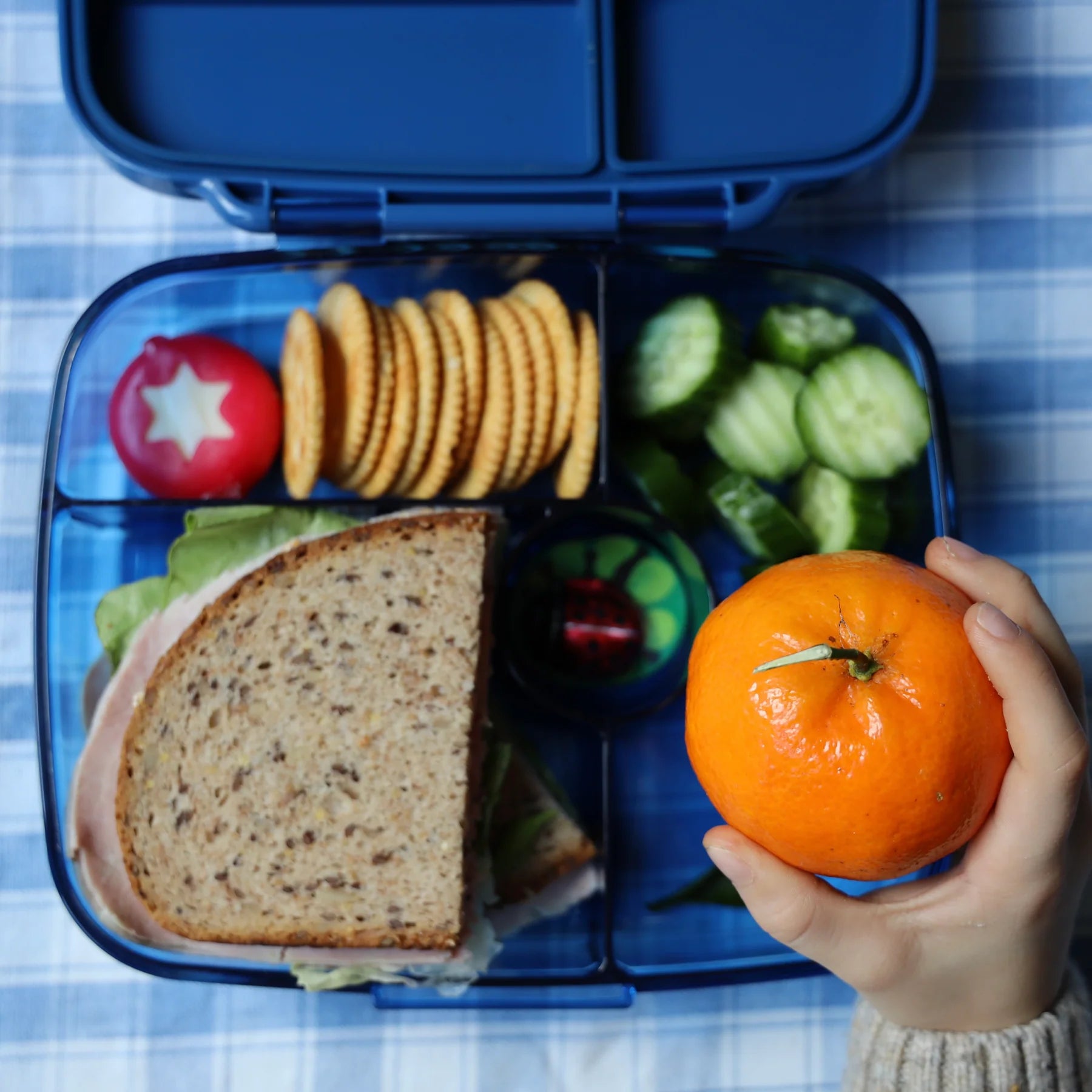 Yumbox GO - 5 oddelení modré Oslo