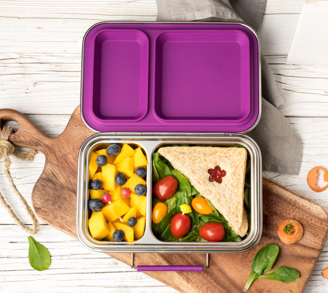 Lekkabox DUO - nerezový box s 2 oddeleniami - lesné ovocie
