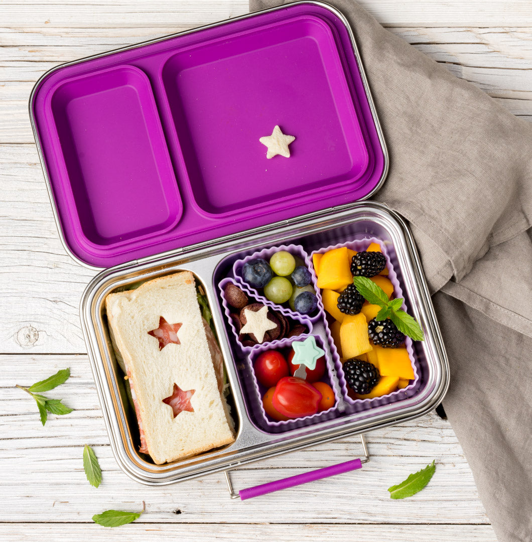 Lekkabox DUO - nerezový box s 2 oddeleniami - lesné ovocie